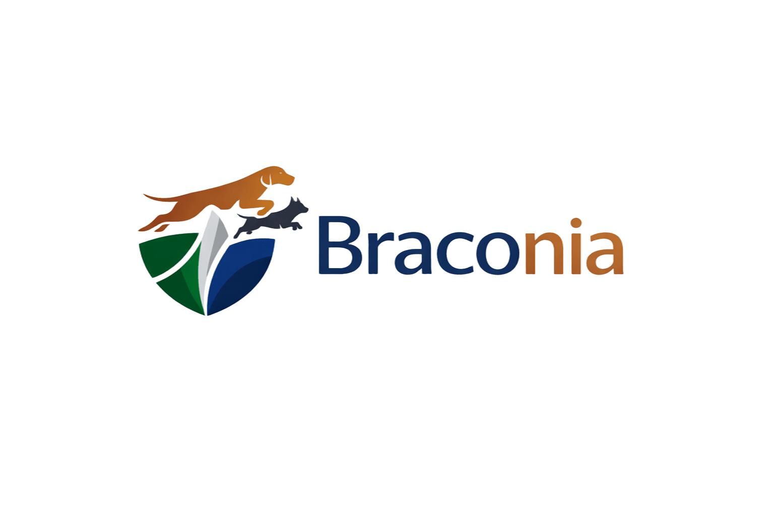 Braconia Logo